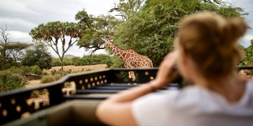 Tyttö, joka ottaa kuvaa kirahvista
