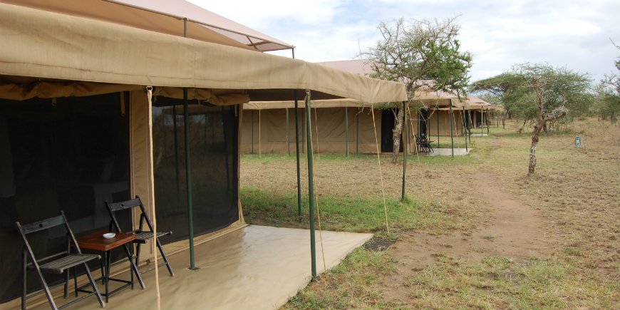 Wild Camp -leiri Afrikassa