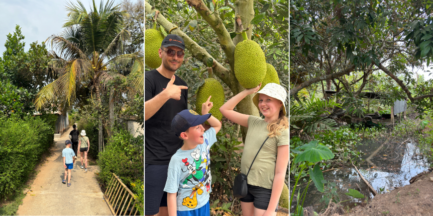 Luontoelämyksiä alueella