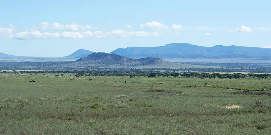 Serengetin avarat tasangot