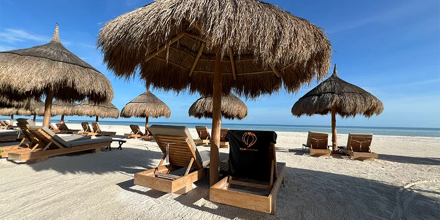 TourCompass-t-paita rantatuolilla Isla Holboxissa