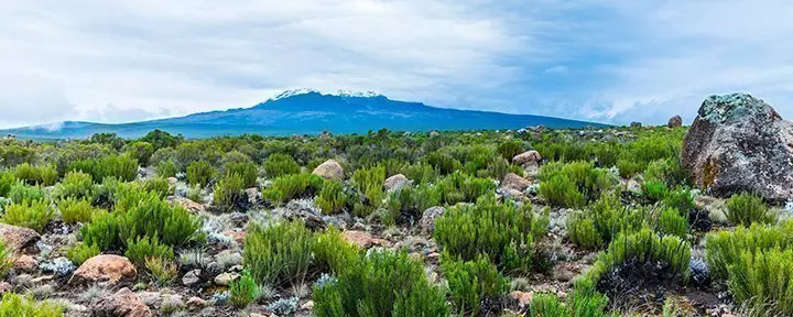 Näkymä Lemosho-reitiltä Kilimanjarolle
